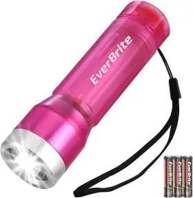 Everbrite 705353062223 Small Flashlight Compact Led Flash Light With 3 Modes Aaa Batterie