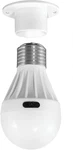 Performance Tool 713 Grab And Go Flashlight Bulb, Energy Efficient Cob Tech. Fixed Price $16.99.